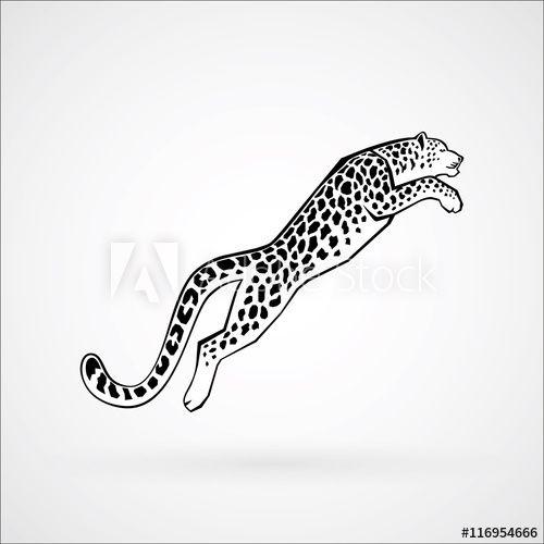 Leopard Logo - Snow Leopard line vector illustration logo, sign, emblem isolated