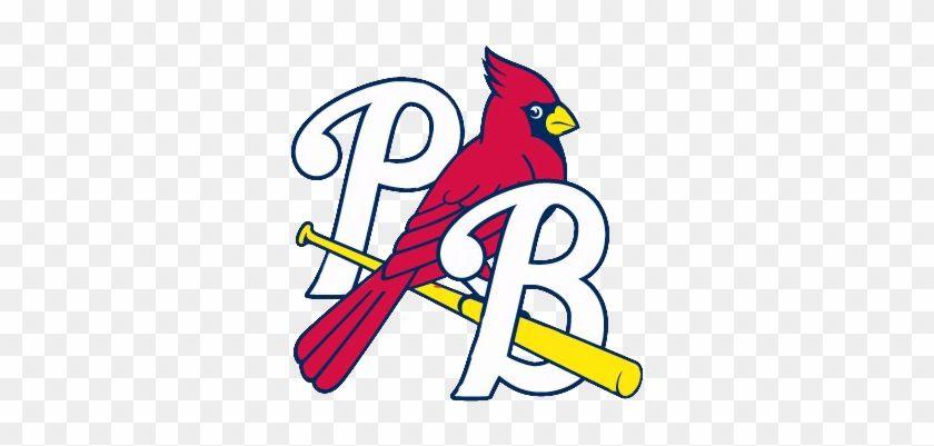 The Birds On Bat Cardinals Logo - Logo Pb Color Louis Cardinals Bird On Bat Logo Png