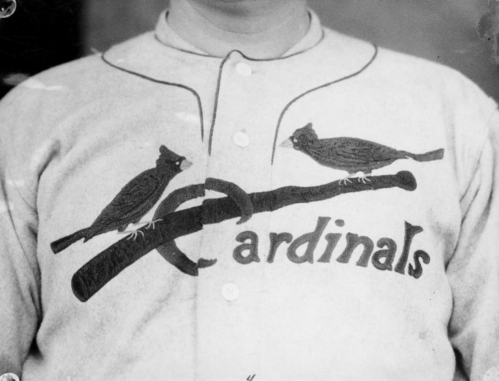 Cardinal On Bat Logo - Ask A Cardinal: Birds on the Bat – Cardinals Insider