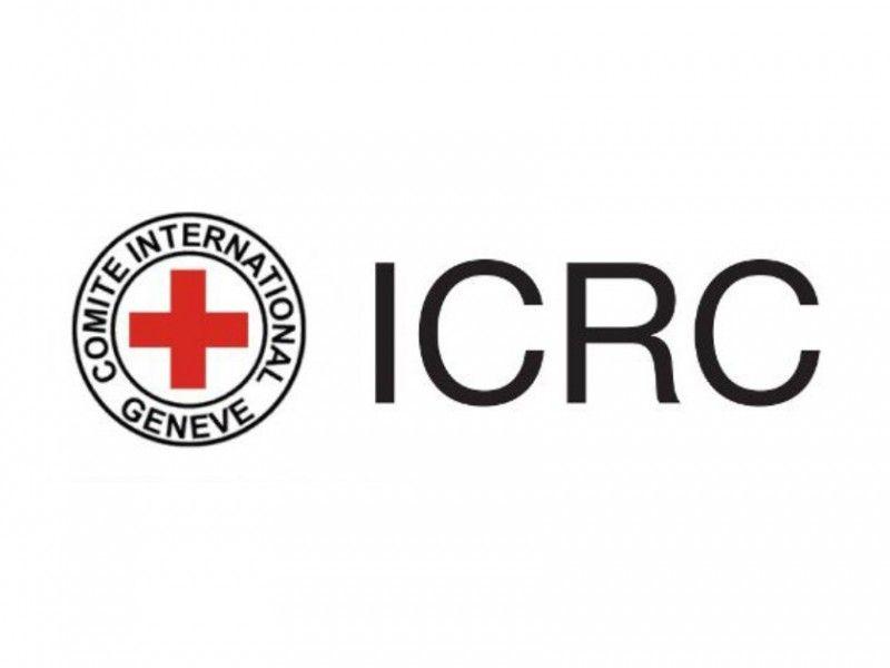 Red Cross Human Rights Logo - Emirates News Agency - ICRC: UAE judicial systems conform with ...