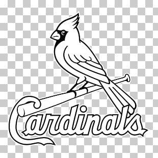 The Birds On Bat Cardinals Logo - 430 st Louis Cardinals PNG cliparts for free download | UIHere