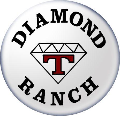 Diamond T Logo - Diamond T Logo Alone. The Diamond T Ranch