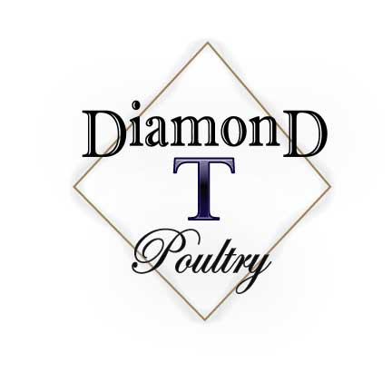 Diamond T Logo - Java breeders: Starting chicks at Diamond T Poultry