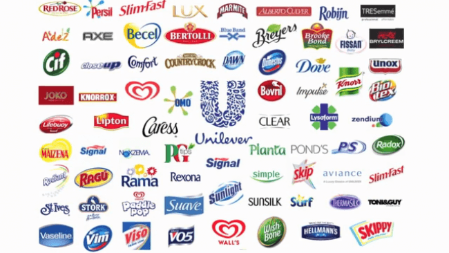 Unilever Company Logo - Selling Sustainability: Organic Startup Honest Company in Talks with ...