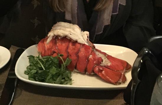 Steak and Black and Blue Crab Logo - This is the REALLY BIG lobster tail I was served on my birthday
