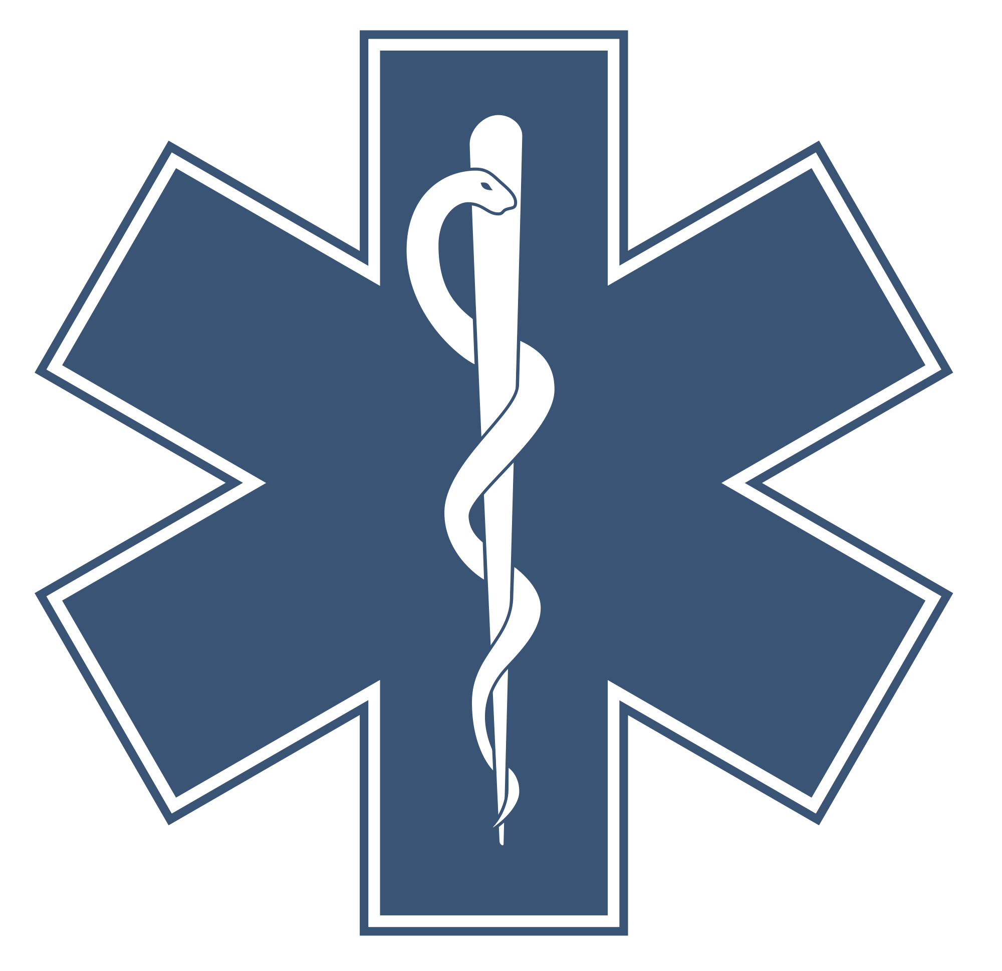 Star of Life Logo - File:Star of life.svg - Wikimedia Commons