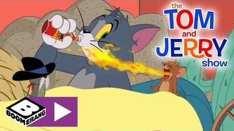 Tom and Jerry Boomerang Logo - Video - The Tom and Jerry Show Good For What Ails You Boomerang ...