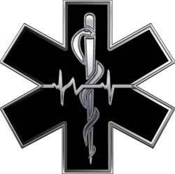 Star of Life Logo - Silver EMT EMS Star Of Life With Heartbeat h