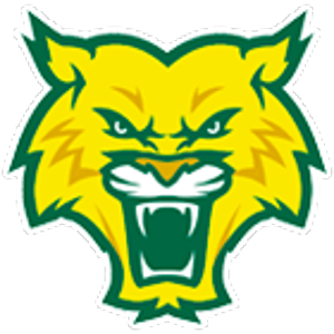 Green and Gold Wildcat Logo - GORC Wildcats 13u Travel Baseball Team