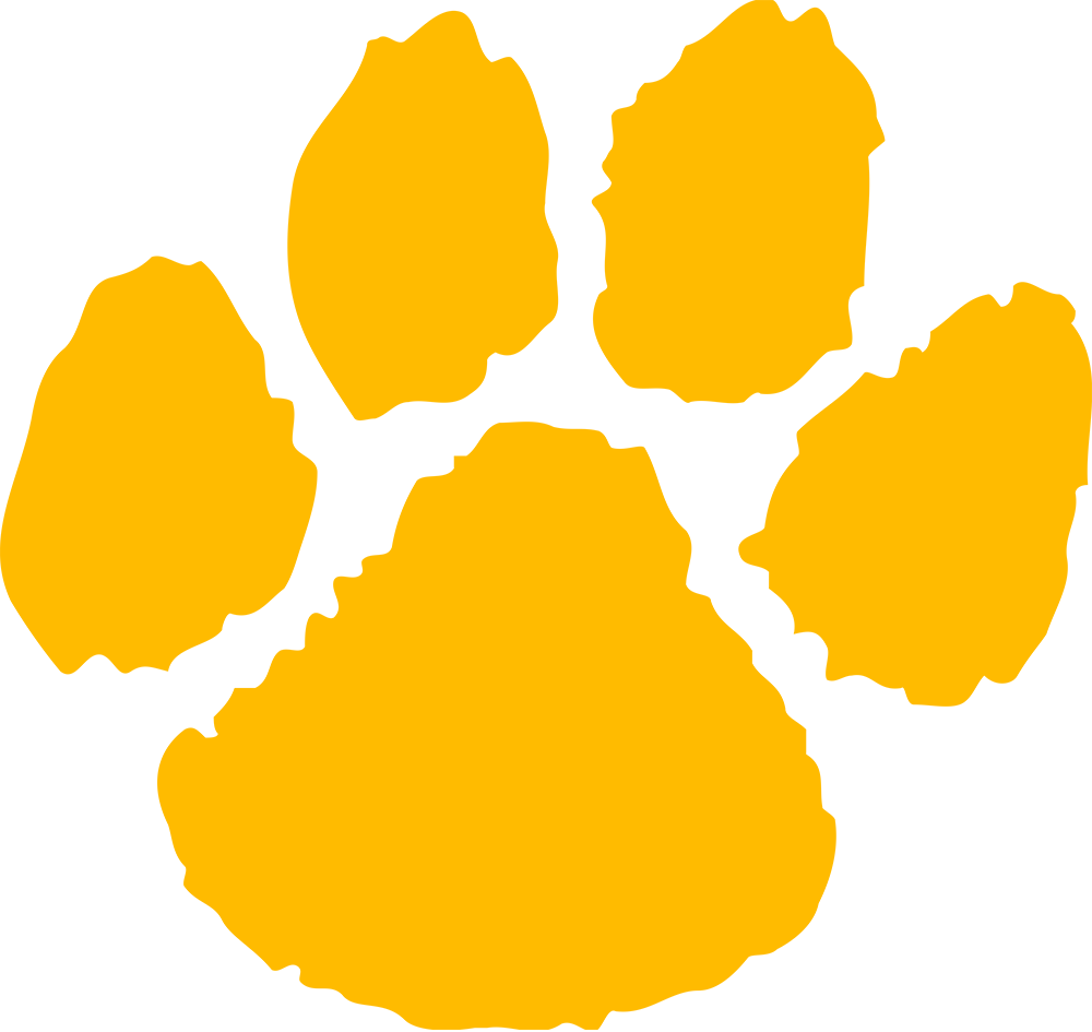 Green and Gold Wildcat Logo - Free Wildcat Paw Print, Download Free Clip Art, Free Clip Art on ...