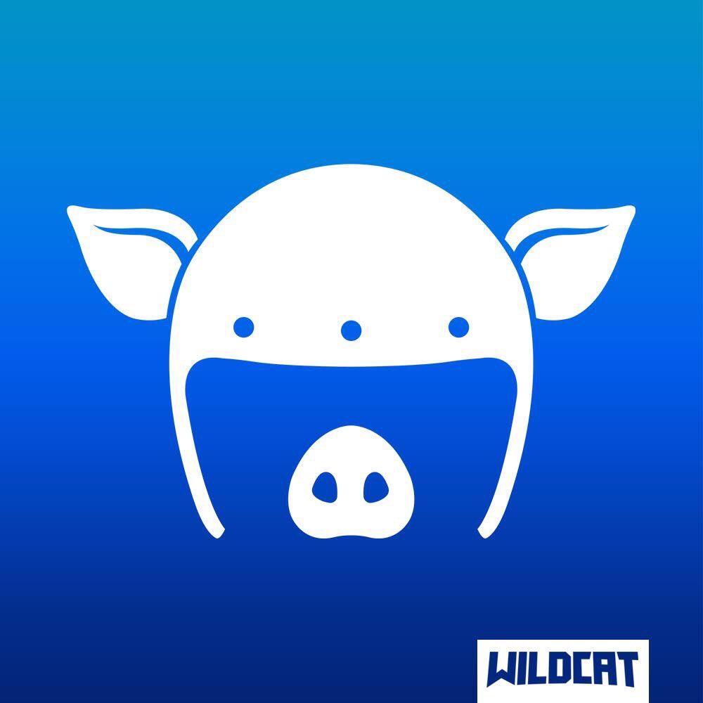 Cool Wildcat Logo - I AM WILDCAT | Vanoss And Friends Wiki | FANDOM powered by Wikia