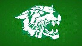 Green and Gold Wildcat Logo - Wildcat freshman has breakout run in latest Gold jamboree |