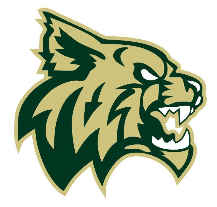 Green and Gold Wildcat Logo - Activity Page