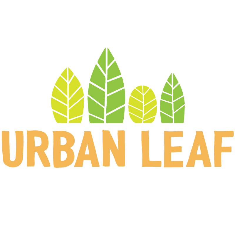 Yellow and a Leaf with an a Logo - Urban Leaf