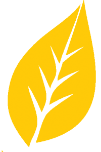 Yellow and a Leaf with an a Logo - Education - Millhill