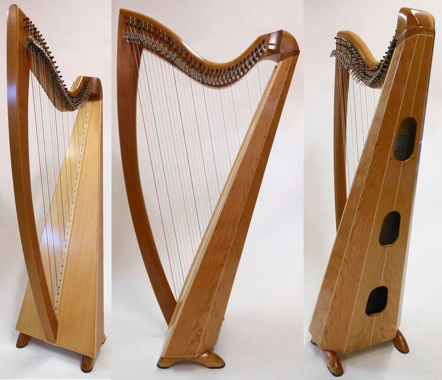 Harp Shape Logo - The Clare 34