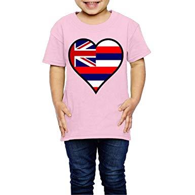 Hawaiian Flag Superman Logo - Amazon.com: Hawaii State Flag Boys & Girls Tops Short Sleeve T-Shirt ...