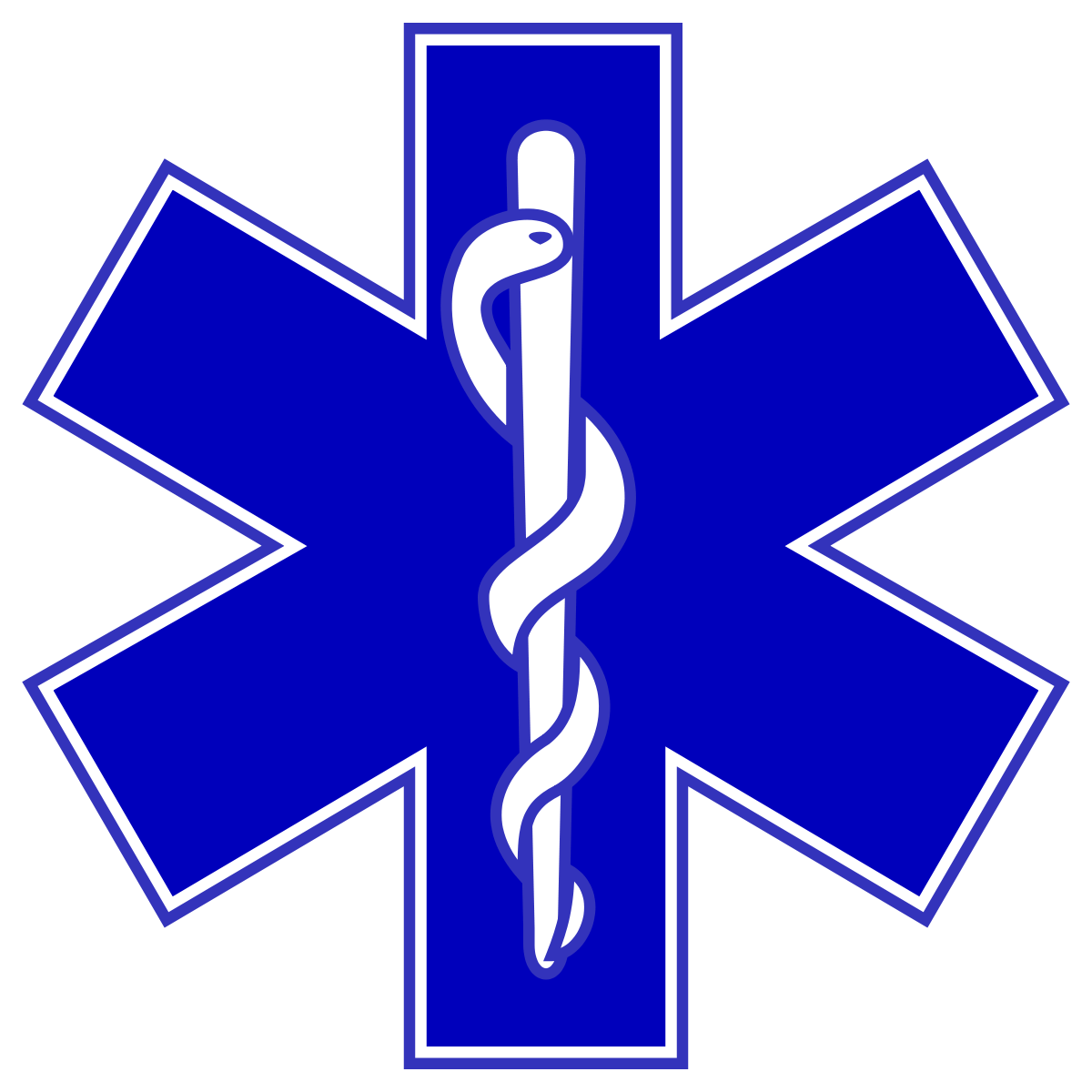 Search and Rescue Medical Cross Logo - Emergency medical technician