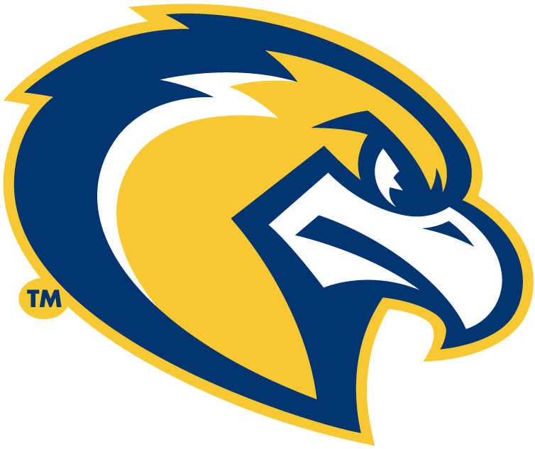 Blue and Yellow Sports Logo - Marquette Golden Eagles Alternate Logo Division I (i M) (NCAA