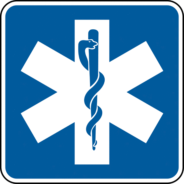 Emergency Medical Logo - Emergency Medical Services, Color