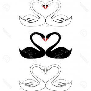 Two Swans Logo - Stock Illustration Swans Love Vector Illustration Logo Swans Love