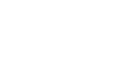 Shoe Palace Logo - Shoe Palace Laces Up to Beat Their 3:1 ROAS Goal with Facebook Video ...