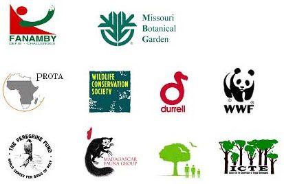 Green Organization Logo - Human Interaction