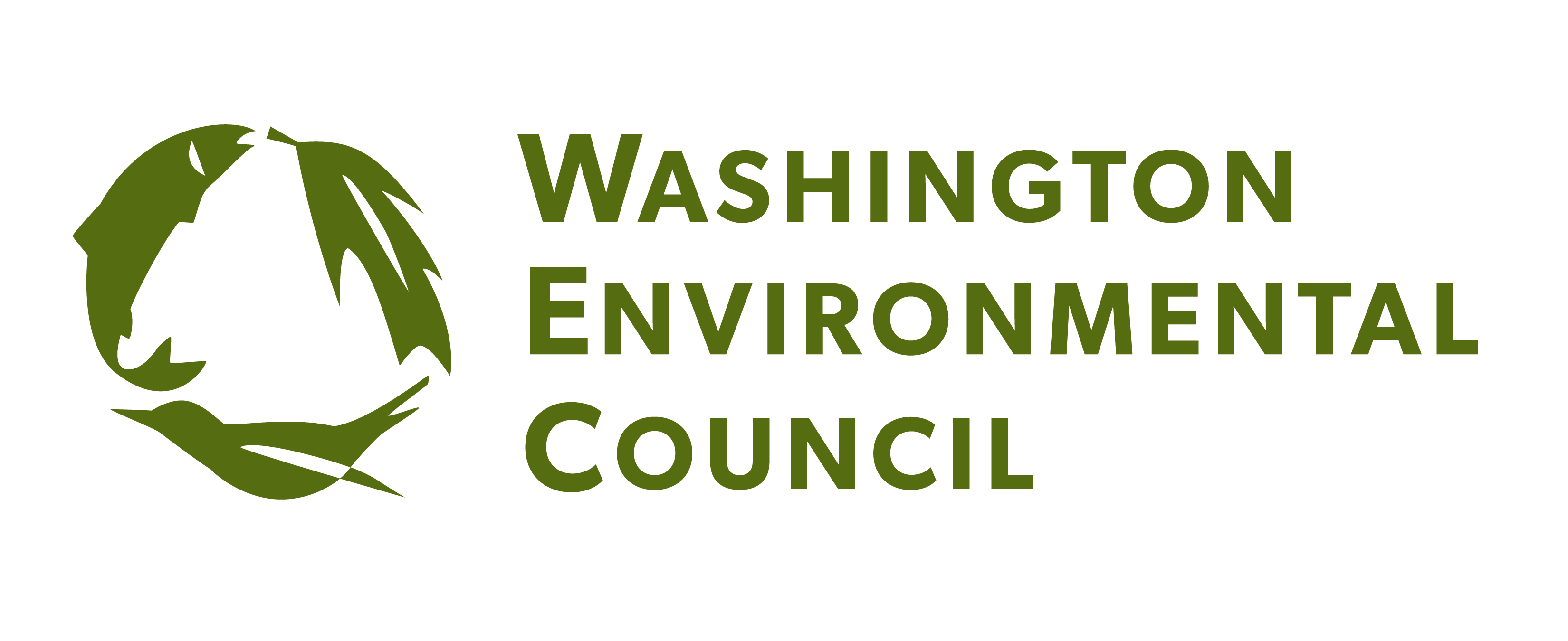 Green Organization Logo - WEC Brand Guidelines