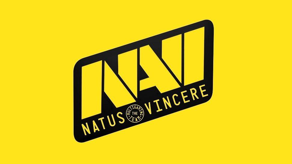 Na'vi Logo - Na'Vi's Dota 2 squad disbands | PC Gamer