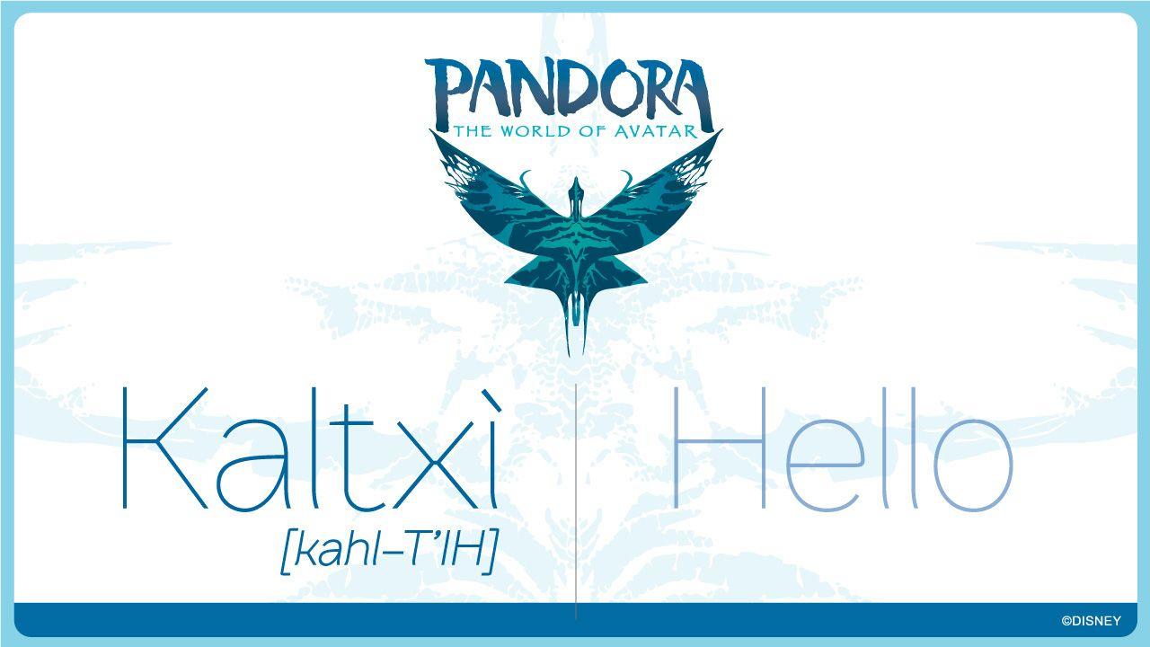Na'vi Logo - Infographic: Learn to Speak Na'vi For Your Trip To Pandora – The ...