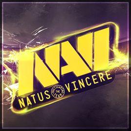 Na'vi Logo - Steam Community - :: navi team
