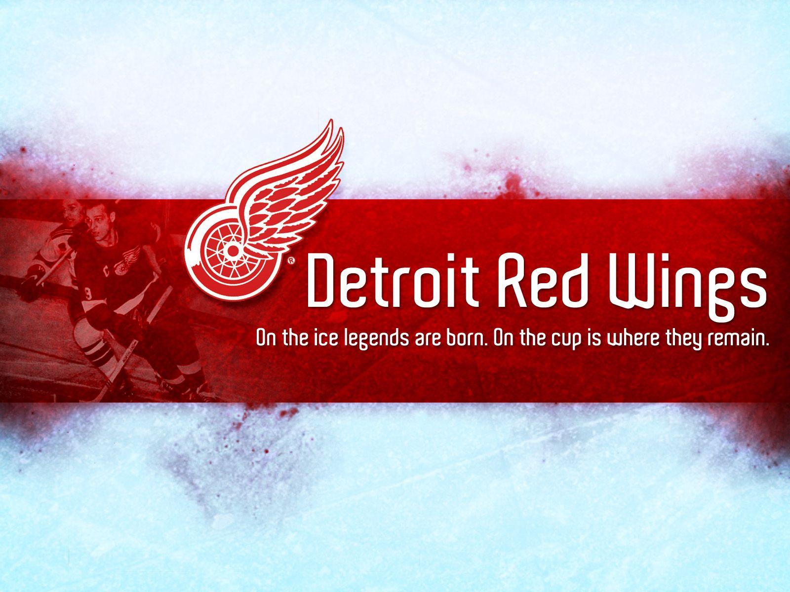 Detroit Red Wing Sports Logo - Detroit Red Wings Wallpaper 19 - 1600 X 1200 | stmed.net