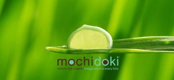 Ice Cream Green Leaf Logo - Mochi and churro, the new companions for ice cream -