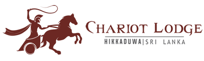 Chariot Logo - Chariot Lodge | Hikkaduwa Sri Lanka