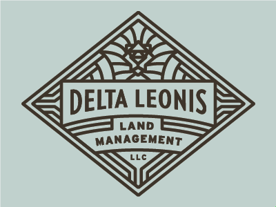 Art Deco Lion Logo - Delta Leonis | boat | Pinterest | Logos, Logo design and Art deco logo