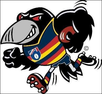 Cartoon Crow Logo - Adelaide Crows Mascot | Go the mighty Crows...!!!! Whhoooo | AFL ...