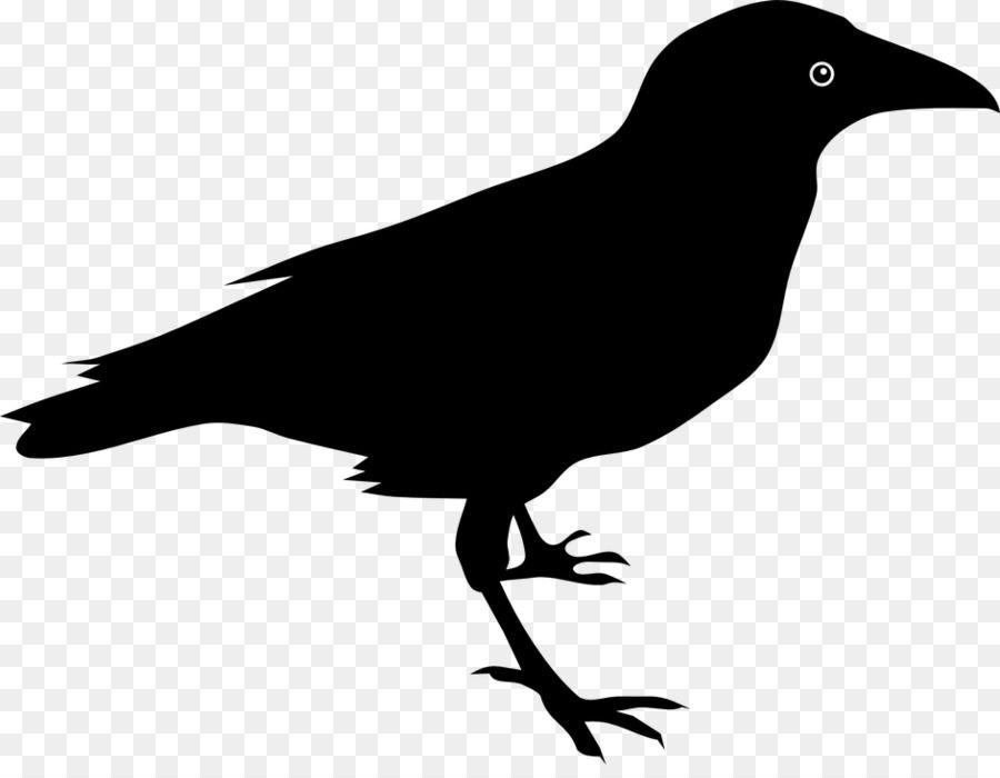 Cartoon Crow Logo - Baltimore Ravens Clip art - Crow logo png download - 942*720 - Free ...