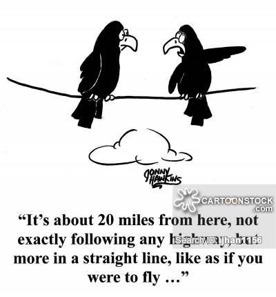 Cartoon Crow Logo - As The Crow Flies Cartoons and Comics - funny pictures from CartoonStock