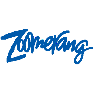 Zoomerang Logo - Image - Zoomerang-Logo.png | Fiction Foundry | FANDOM powered by Wikia