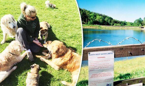 Blue Dog Green Logo - Three dogs dead in West Yorks as blue-green algae fears grow | UK ...