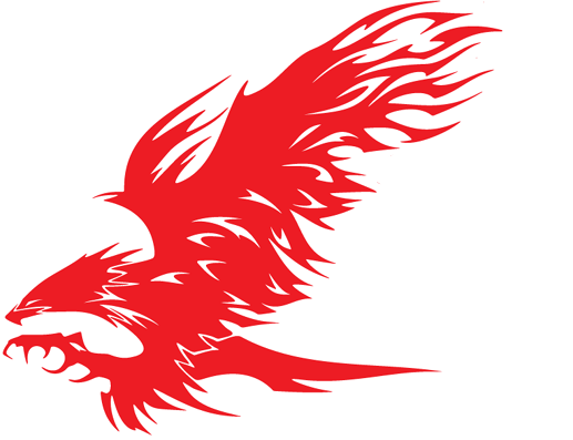 Black and Red Eagles Logo - Troop 164 Home of the Eagles: Troop Logo Voting