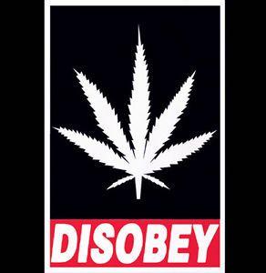 Disobey Logo - Disobey Marijuana Pot Leaf Revolution Occupy Kush Chronic 420 Funny ...