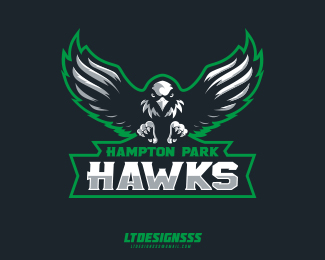 Hawk Logo - Logopond - Logo, Brand & Identity Inspiration