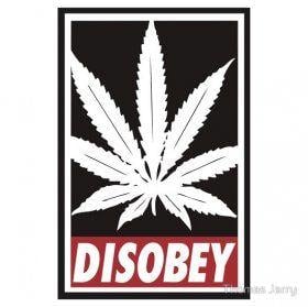 Disobey Logo - DISOBEY T SHIRT HEAT TRANSFER fun diy iron on transfers,Flock logo ...