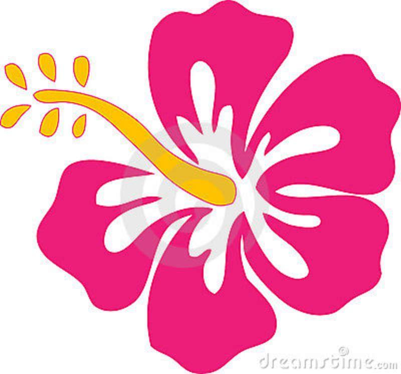 Hibiscus Flower Logo - Hibiscus flowers | Eastern Sea Star
