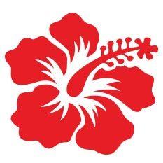 Hibiscus Flower Logo - Big Hibiscus Sticker - Big Hibiscus Flower Decal