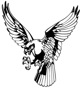 Hawk Logo - Logo