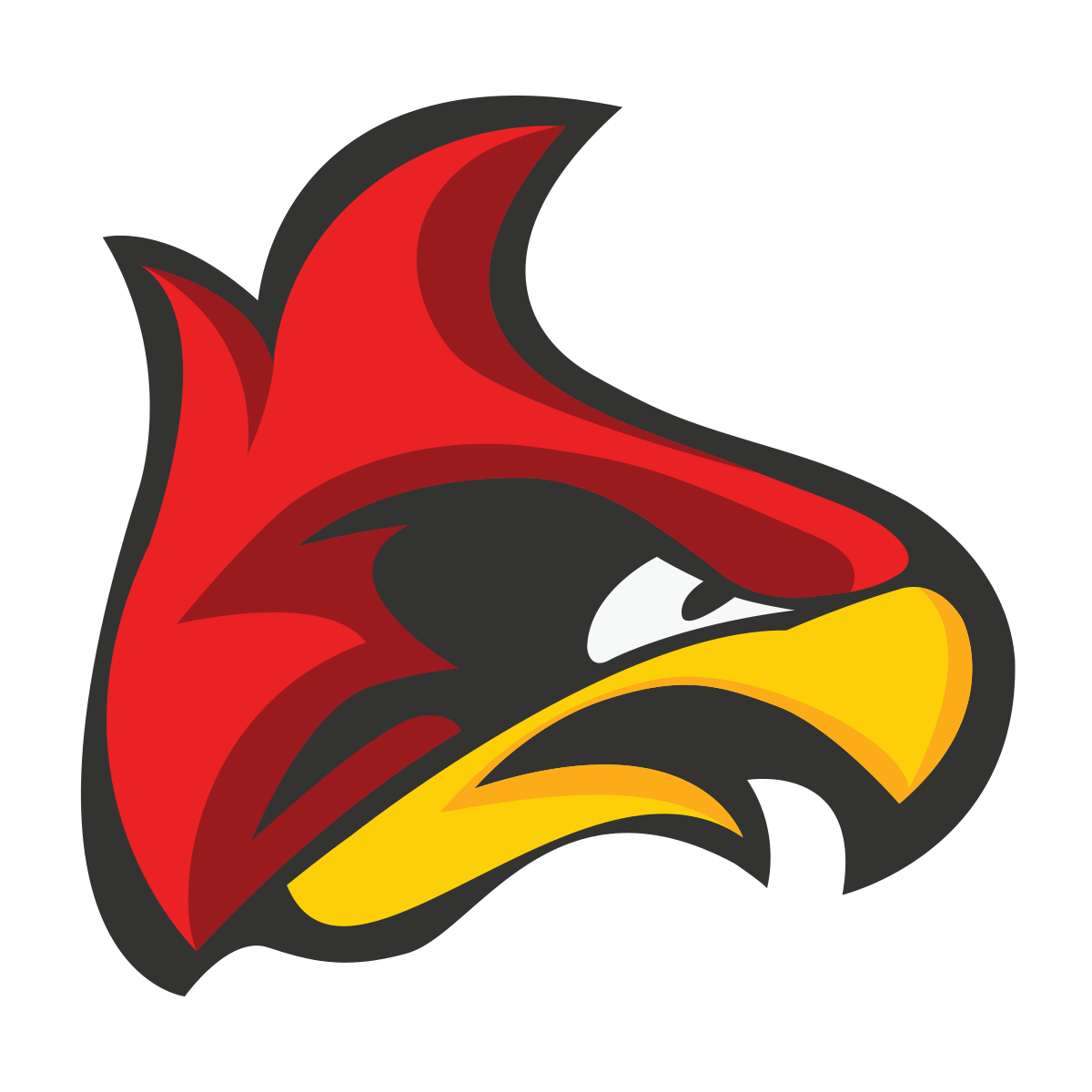 NFL Cardinals Logo - Cards Wire | Get the latest Cardinals news, schedule, photos and ...