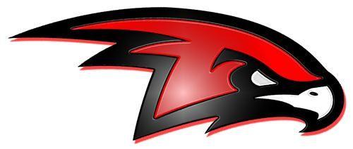 Ball Hawk Logo - Houston High School / Overview