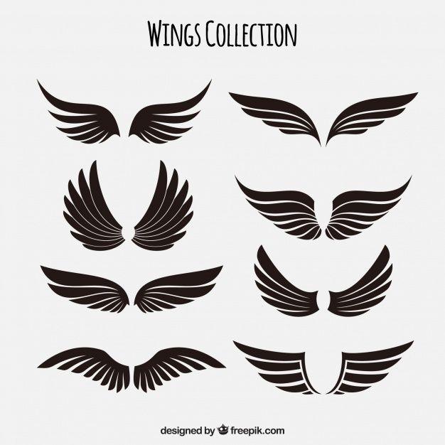 Bird Wing Logo - Wings Vectors, Photo and PSD files
